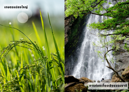 Agency Catalog promote banner